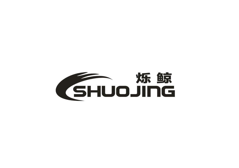 烁鲸