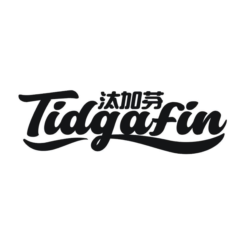 汰加芬 TIDGAFIN