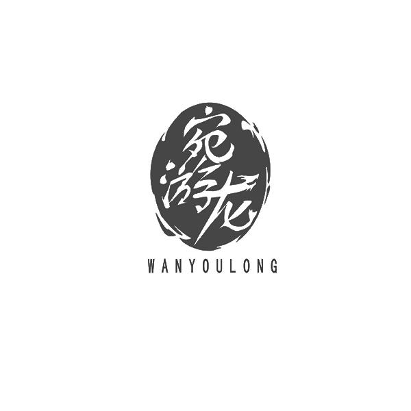 宛游龙WANYOULONG