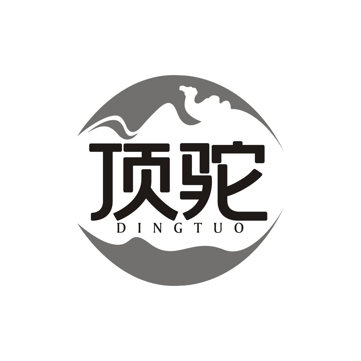 顶驼  DINGTUO