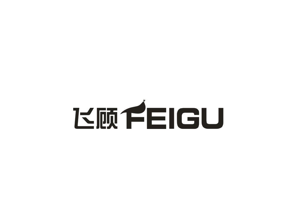 飞顾