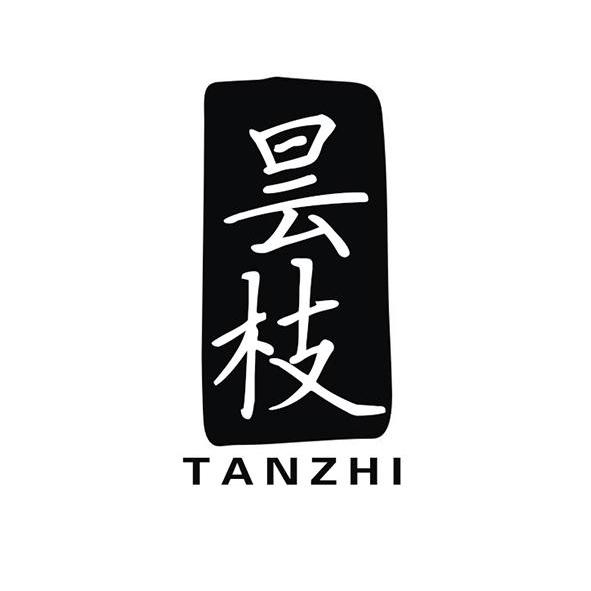 昙枝