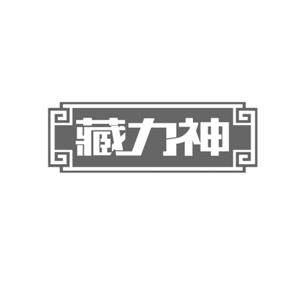 藏力神