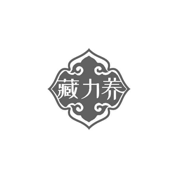 藏力养