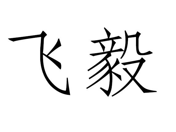飞毅