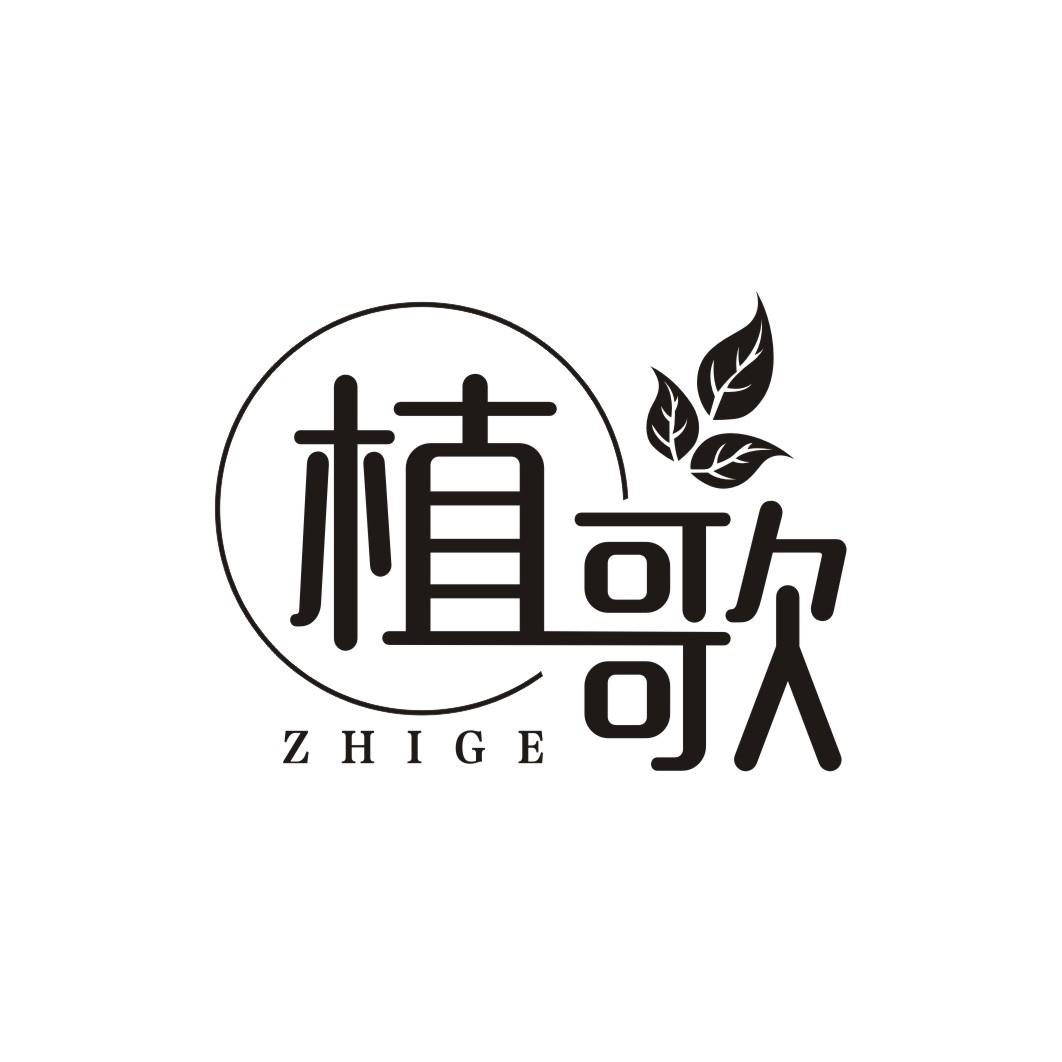 植歌ZHIGE