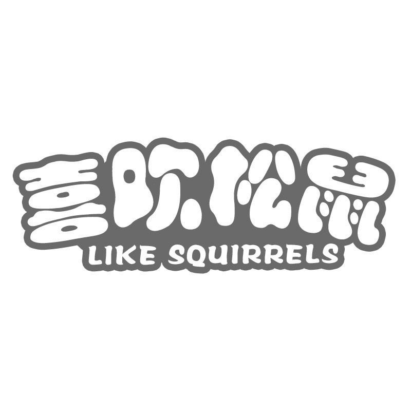 喜欢松鼠 LIKE SQUIRRELS