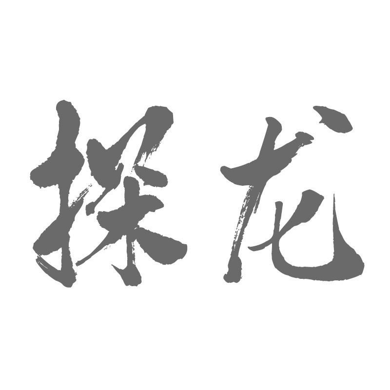 探龙