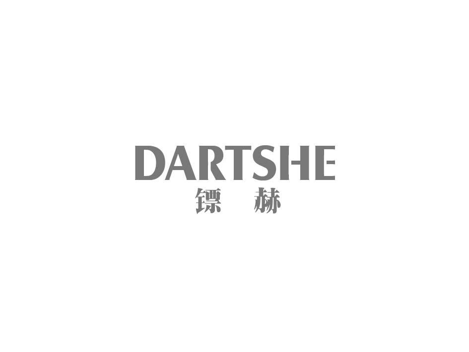 DARTSHE 镖赫