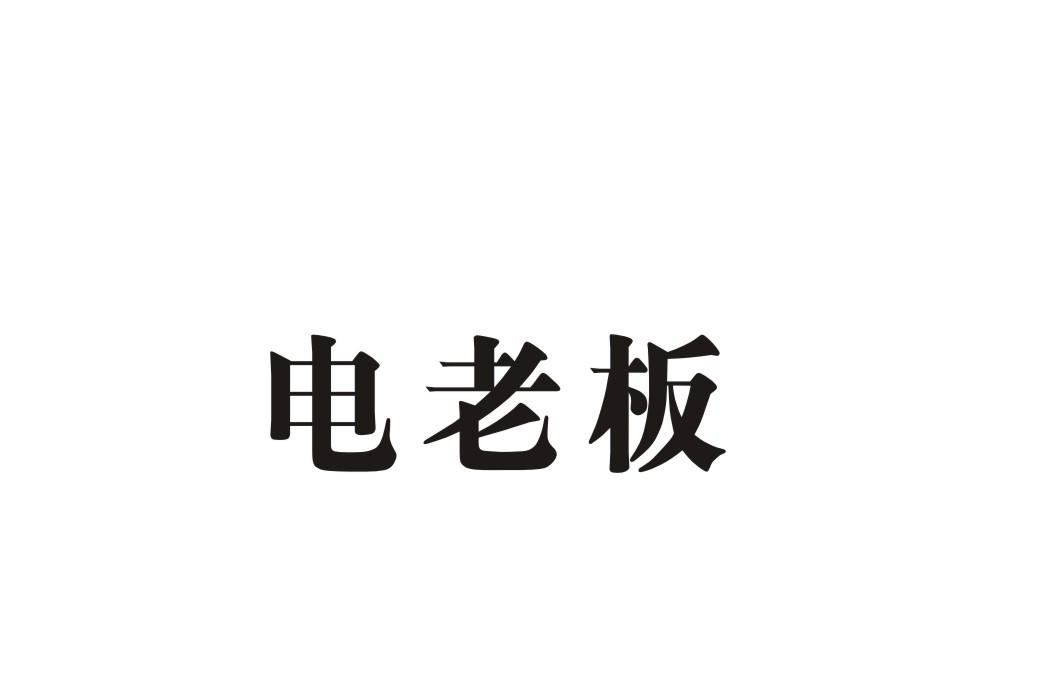 电老板