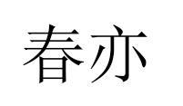 丹缇