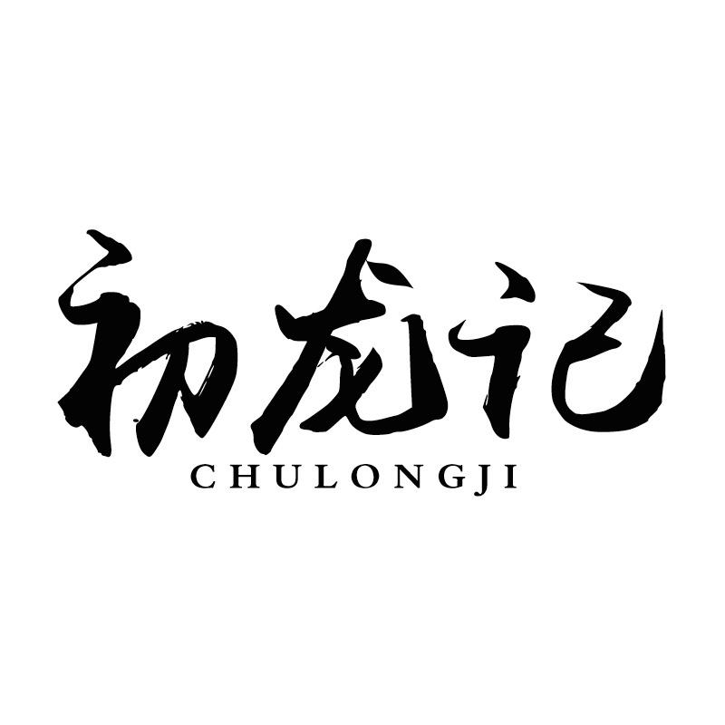 初龙记