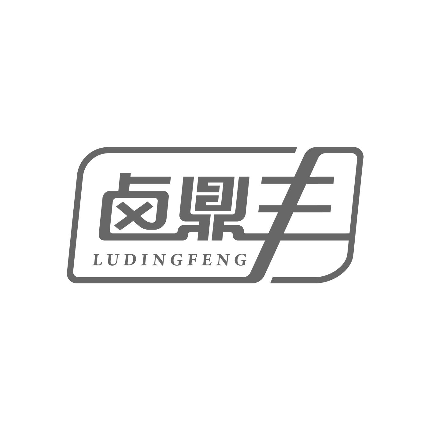 卤鼎丰LUDINGFENG