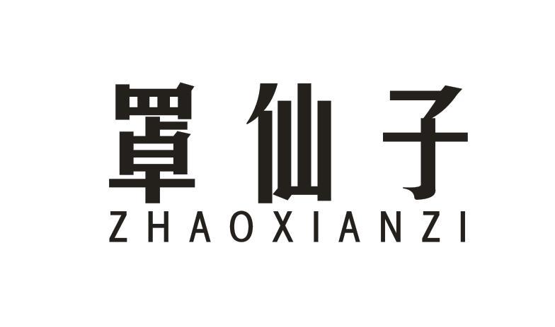 罩仙子