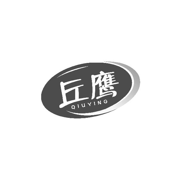 丘鹰QIUYING