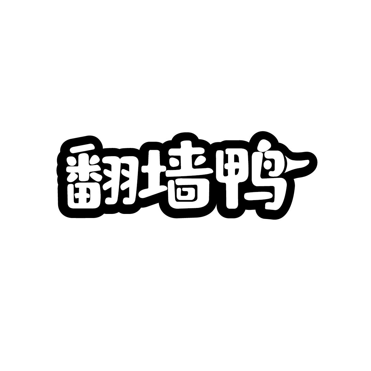 翻墙鸭