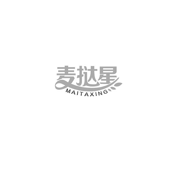 麦挞星MAITAXING