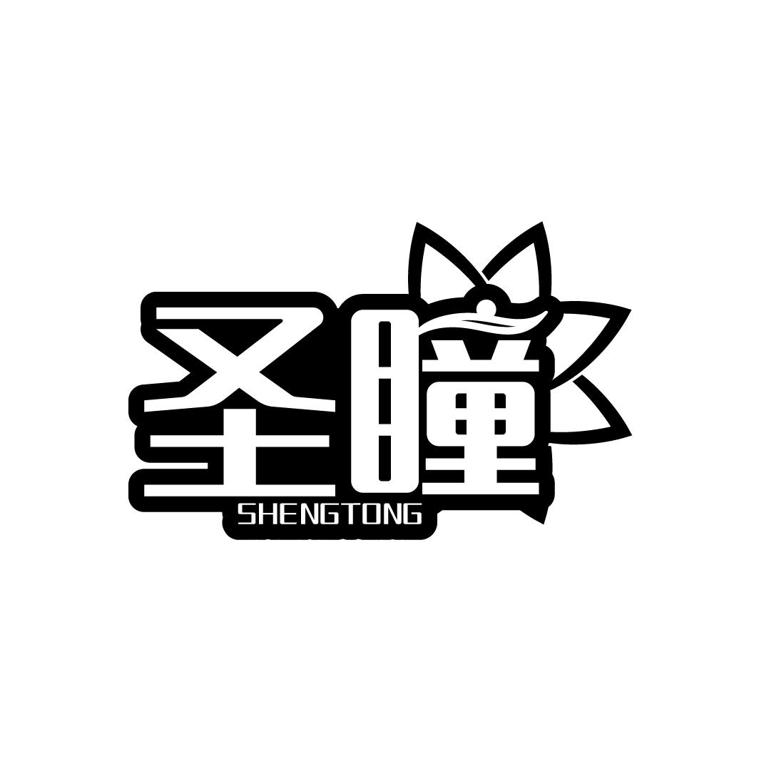 圣瞳
SHENGTONG