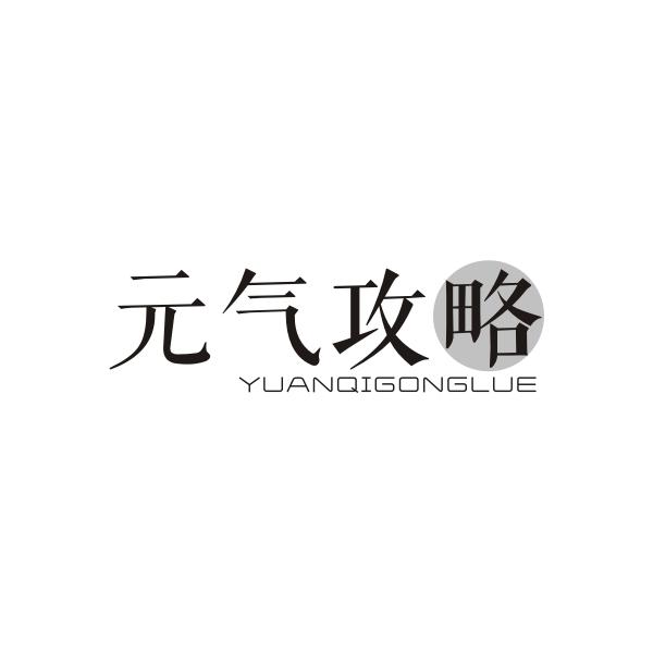 元气攻略