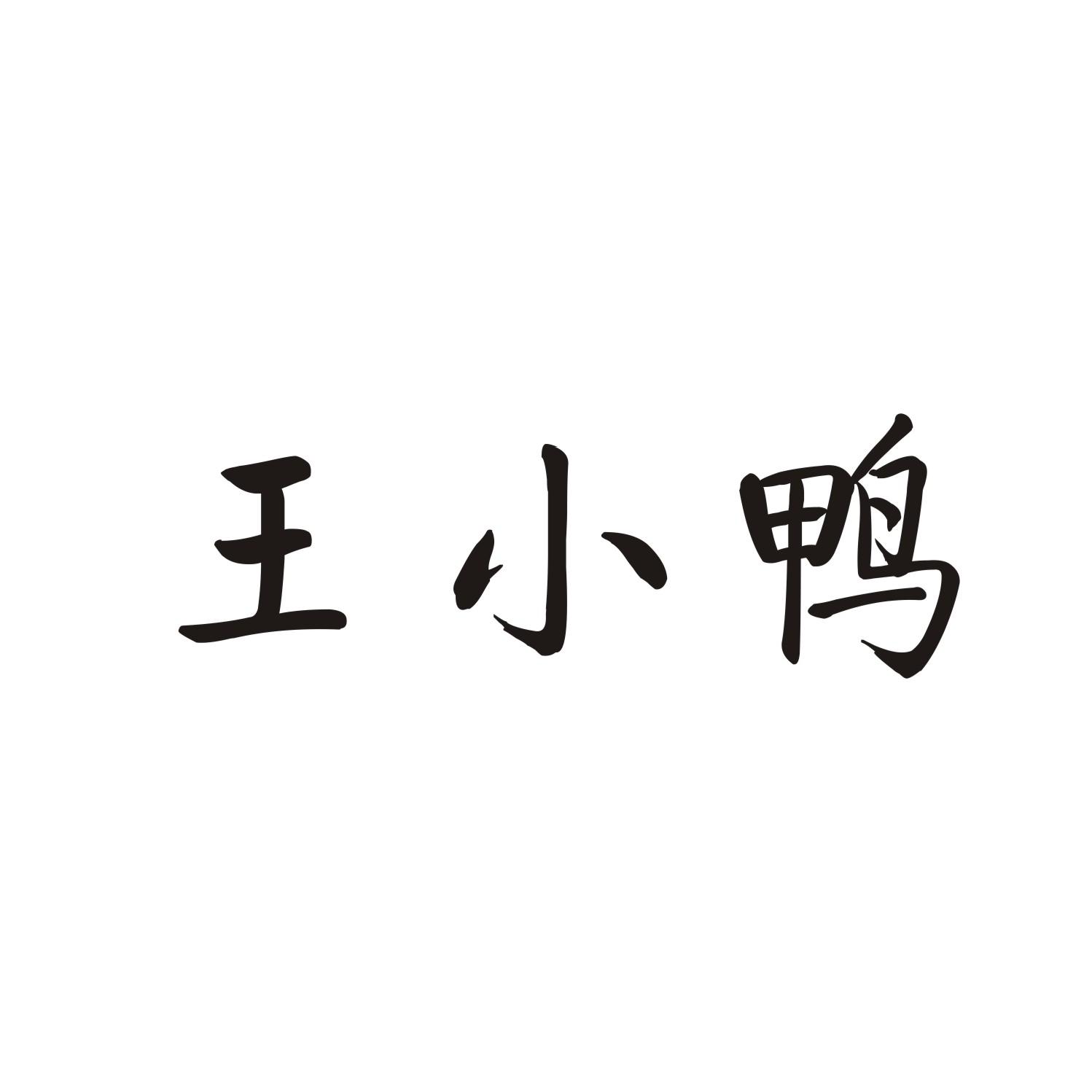 王小鸭