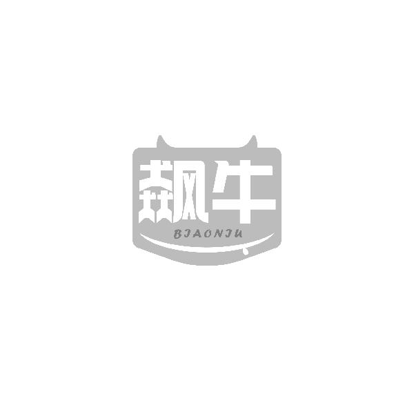 飙牛BIAONIU