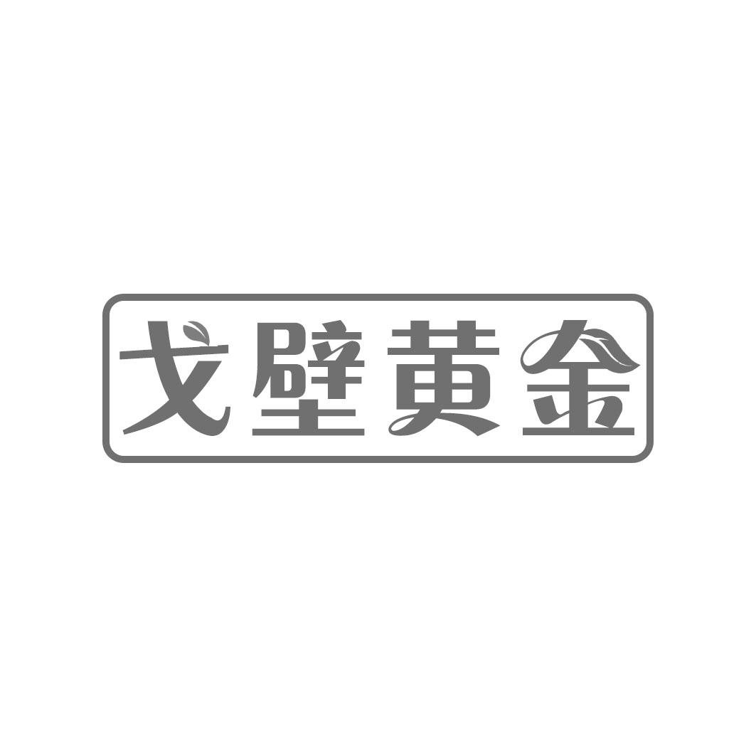 戈壁黄金