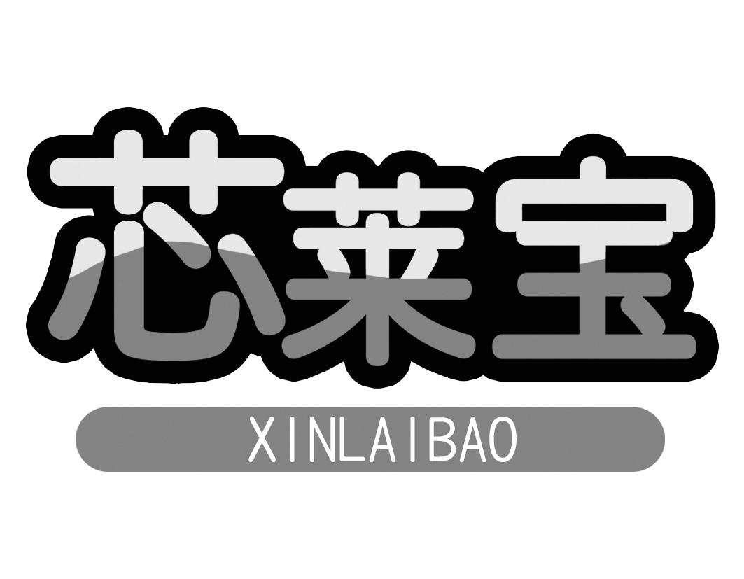 芯莱宝