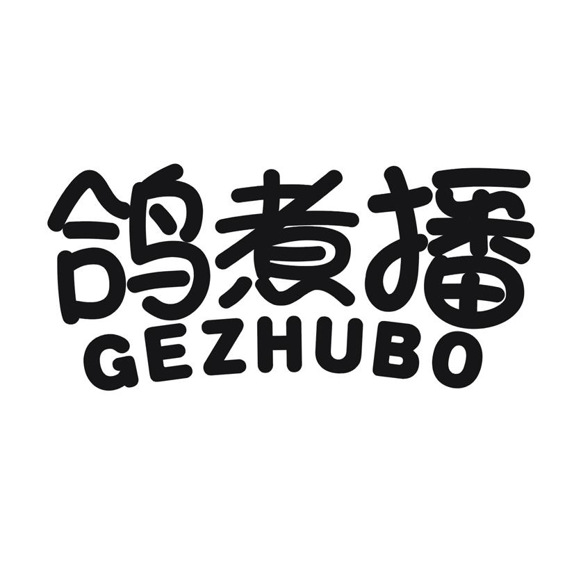 鸽煮播