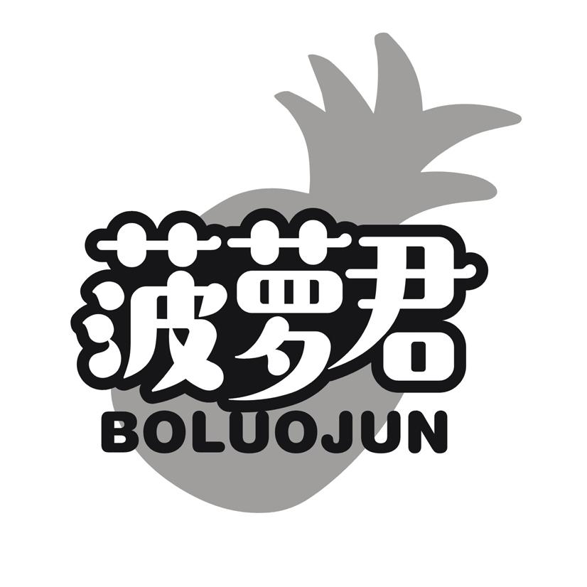 菠萝君