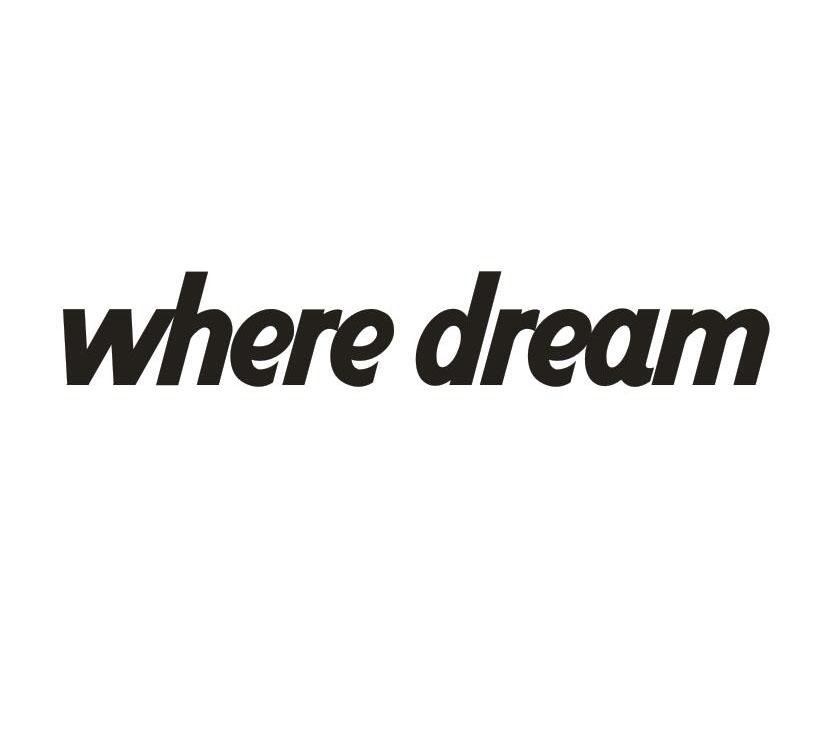where dream（梦想在哪）
