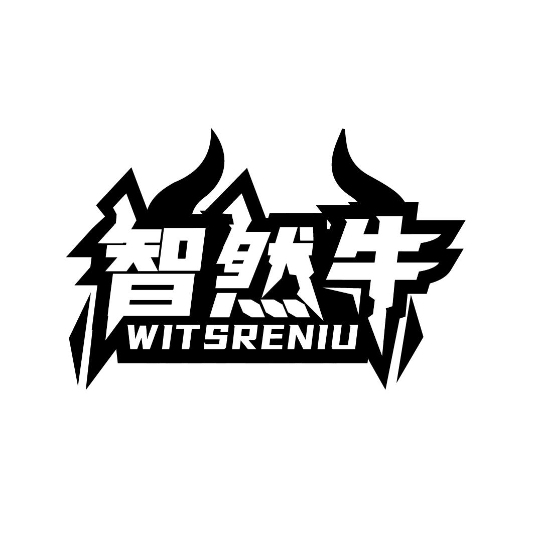 智然牛
WITSRENIU
