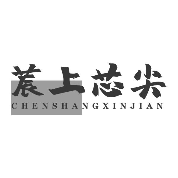 莀上芯尖CHENSHANGXIN  JIAN