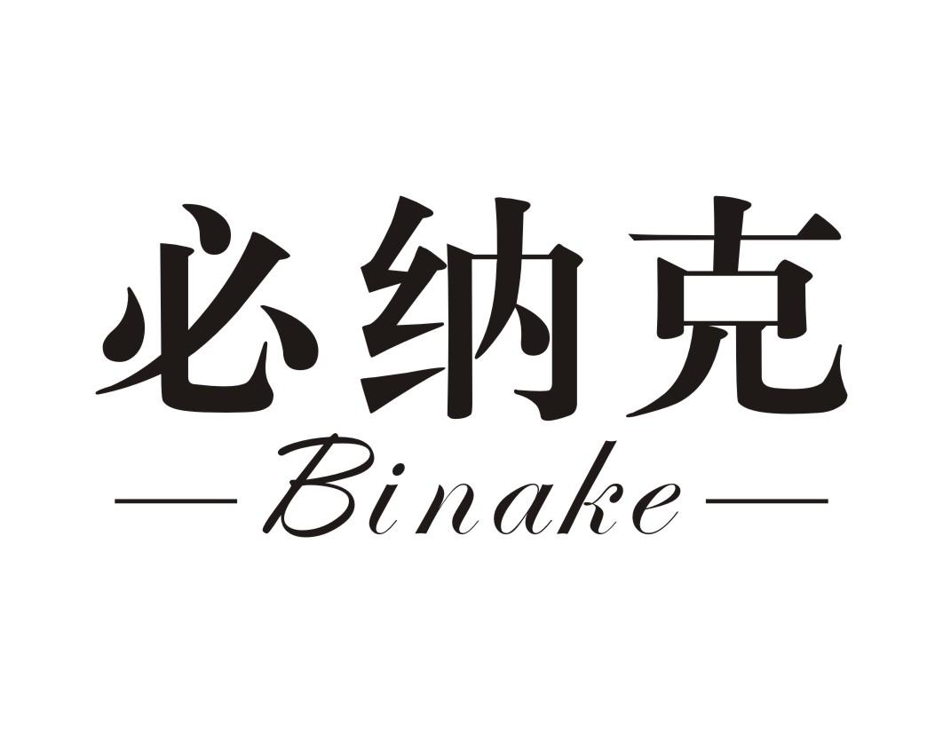 必纳克BINAKE