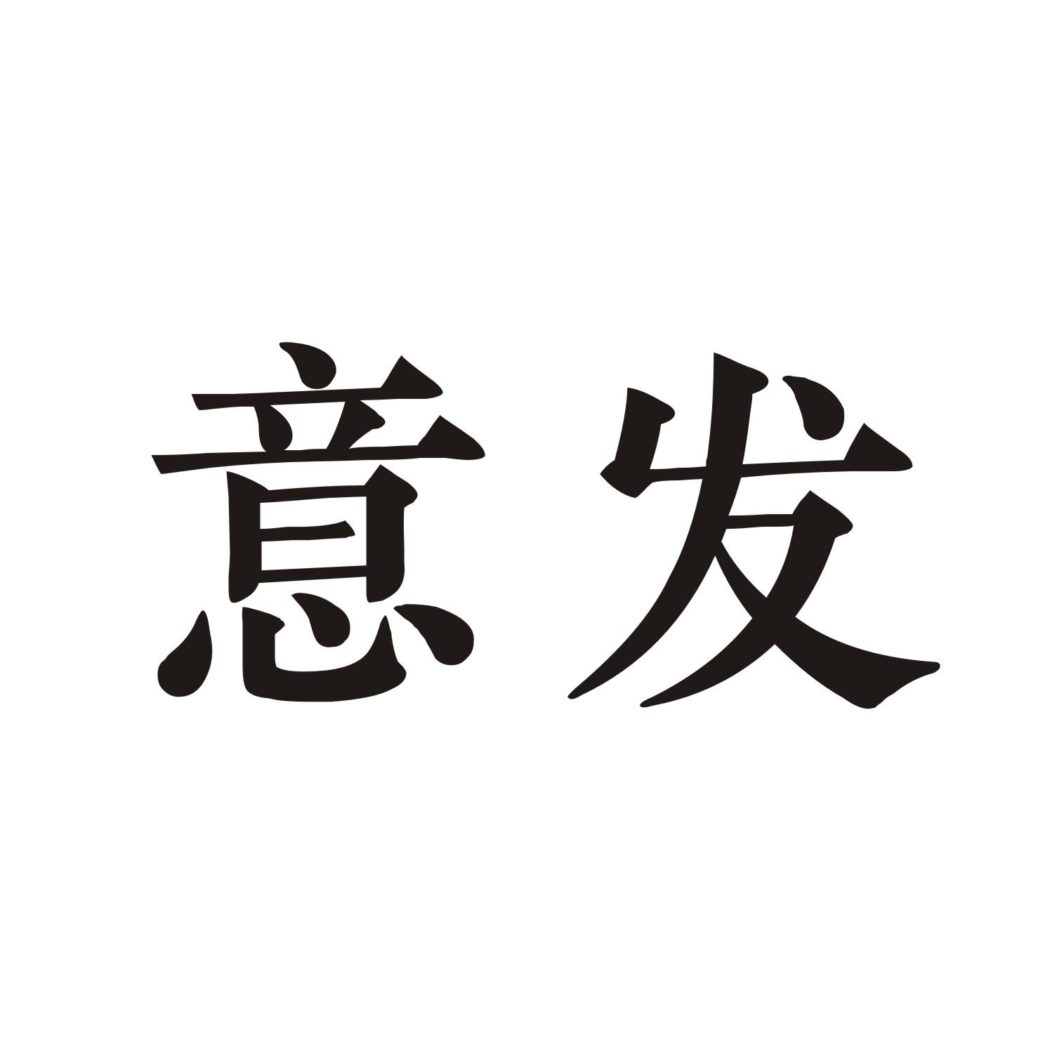 意发