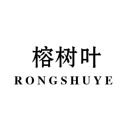榕树叶