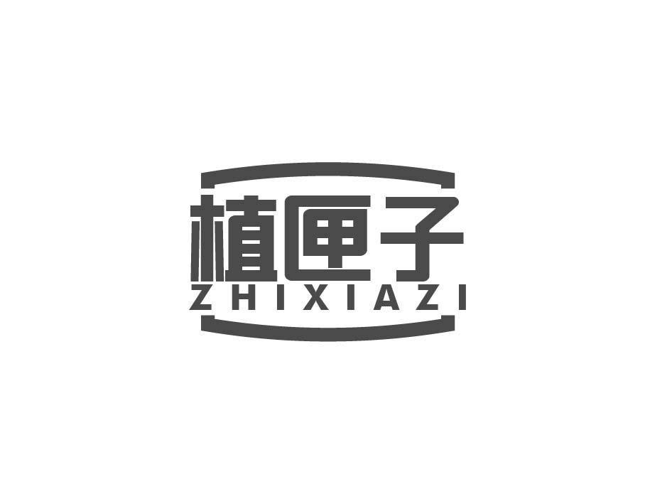植匣子;ZHIXIAZI