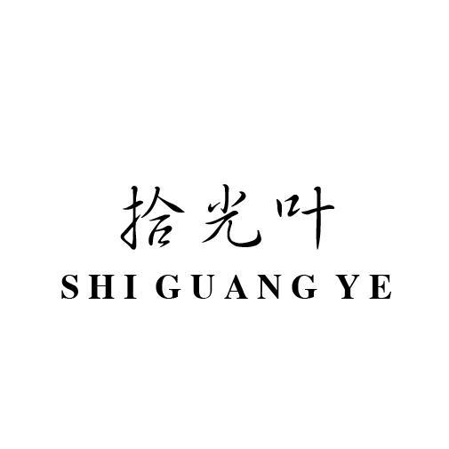 拾光叶
