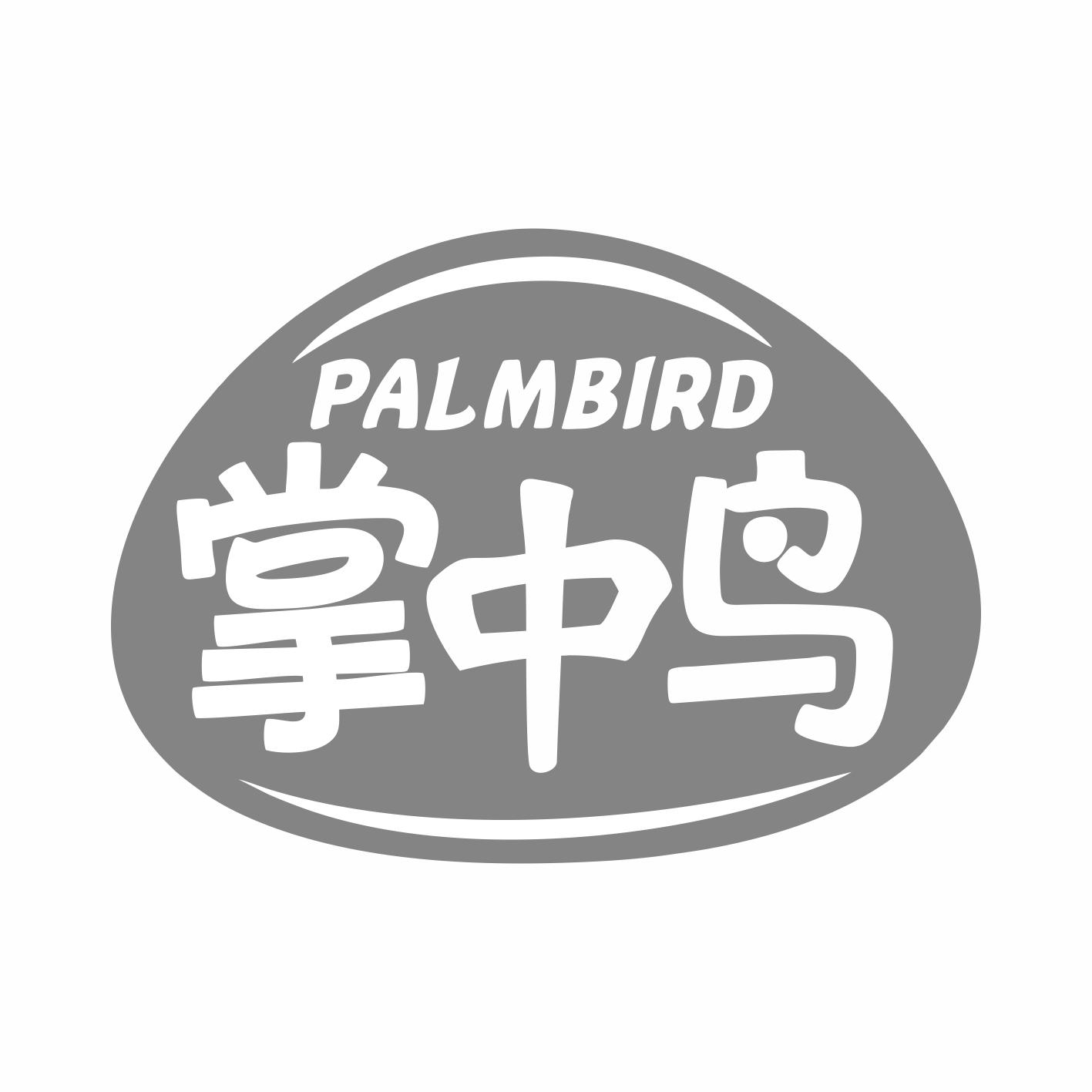 掌中鸟PALMBIRD
12+11类同名