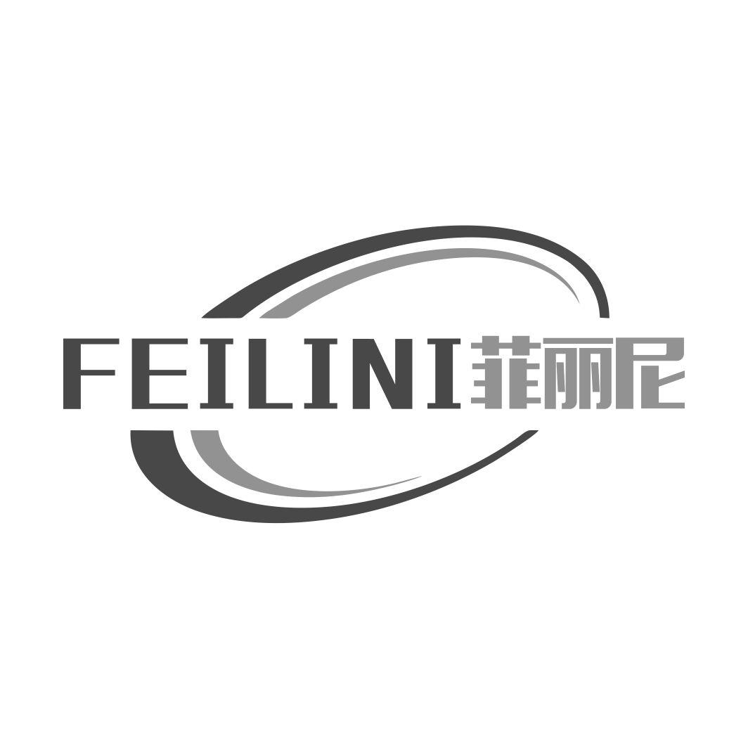 菲丽尼FEILINI
11+20类同名