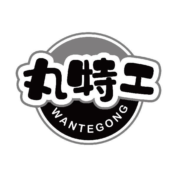 丸特工
wantegong
