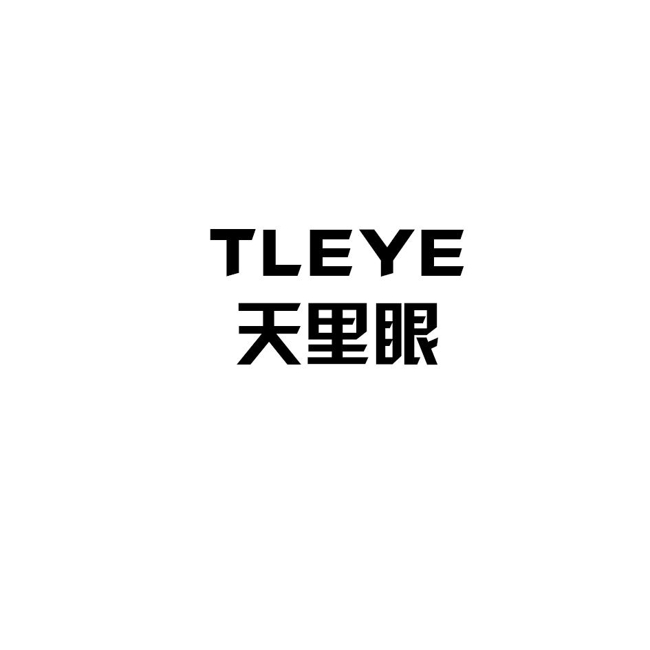 天里眼 TLEYE