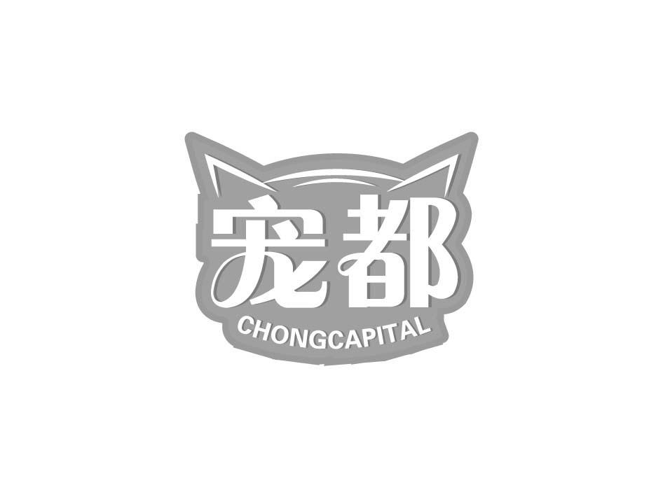 宠都 CHONGCAPITAL