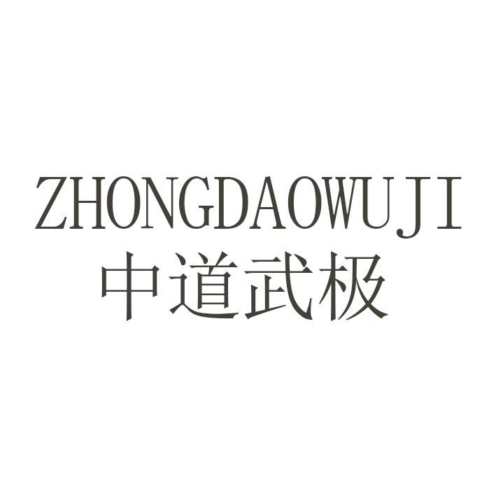 中道武极
