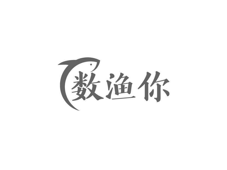 数渔你