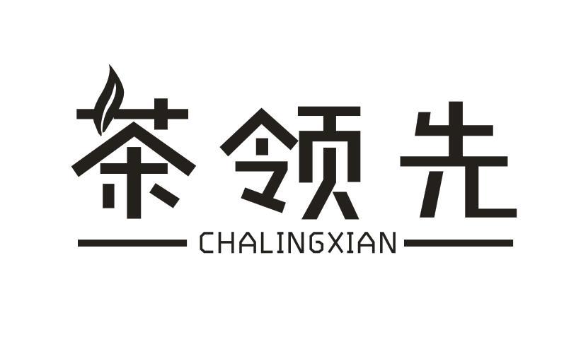 茶领先