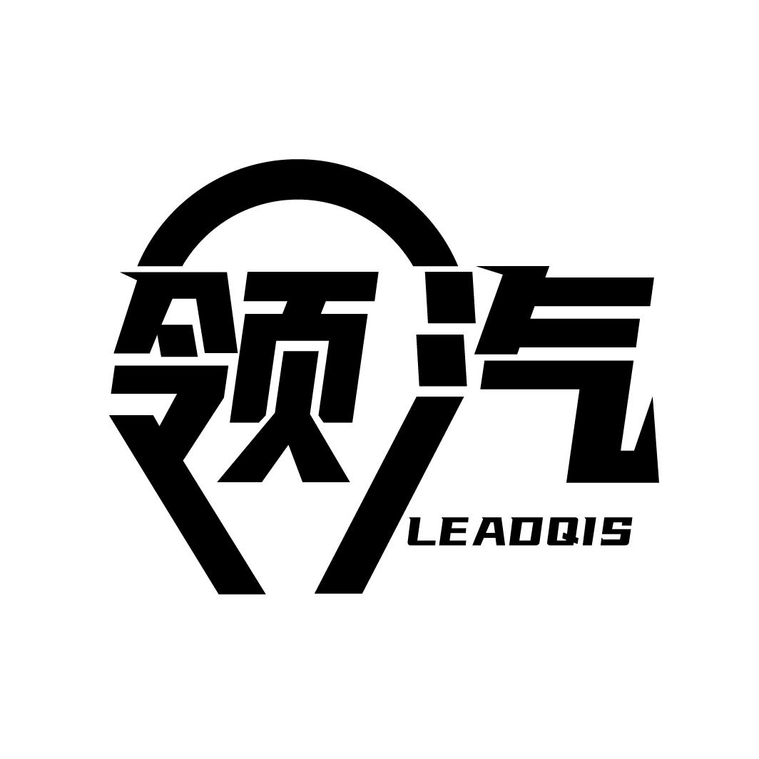 领汽
LEADQIS