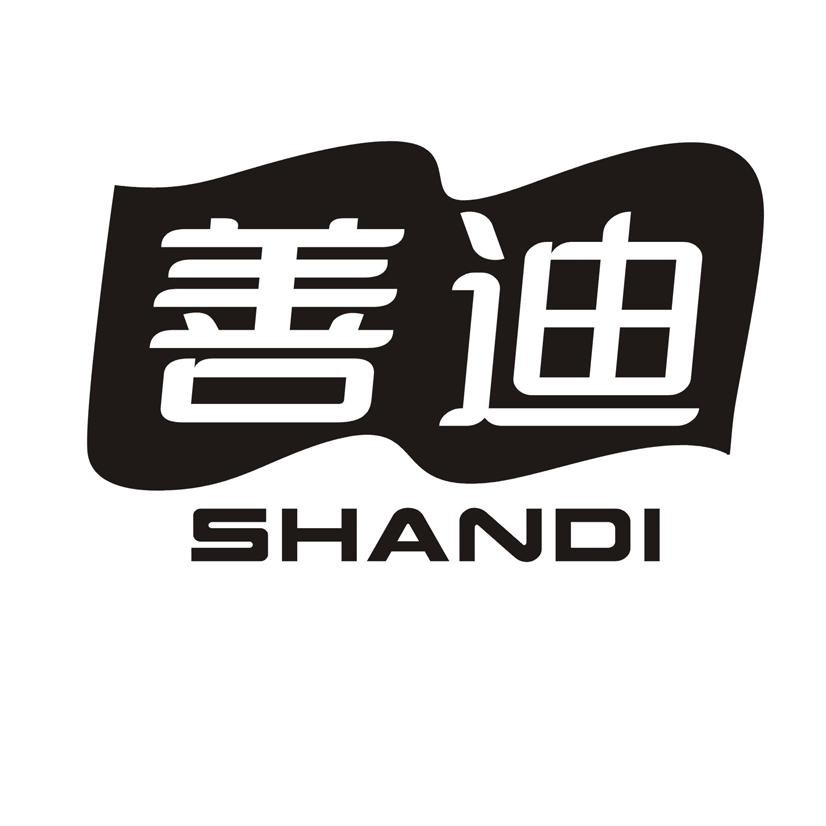 善迪