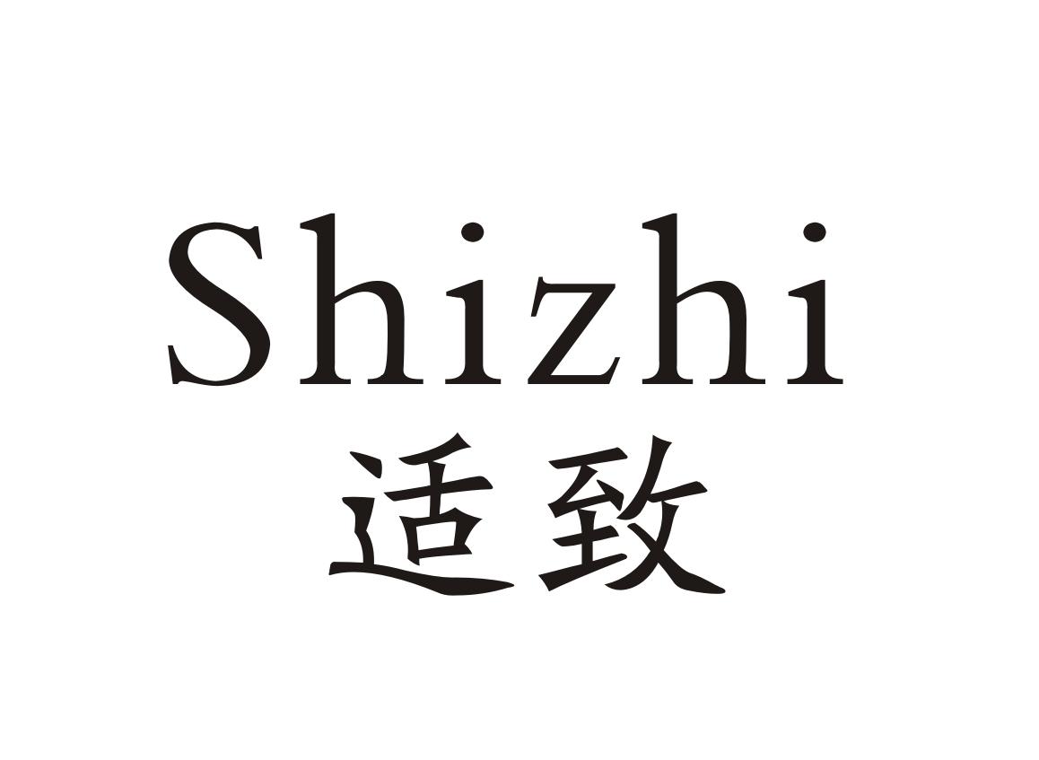 适致