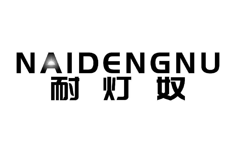 耐灯奴NAIDENGNU