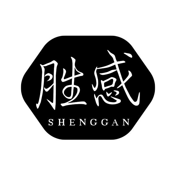 胜感SHENGGAN